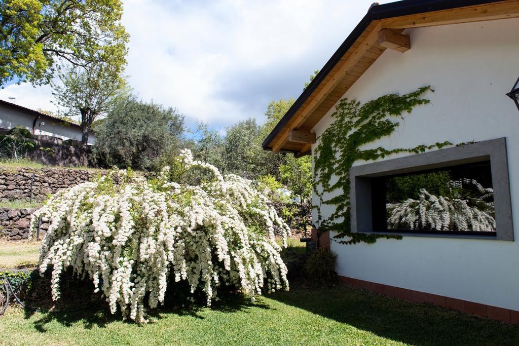 Domus Verdiana Ragalna Pokoj fotografie